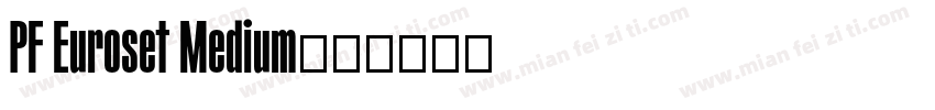 PF Euroset Medium字体转换